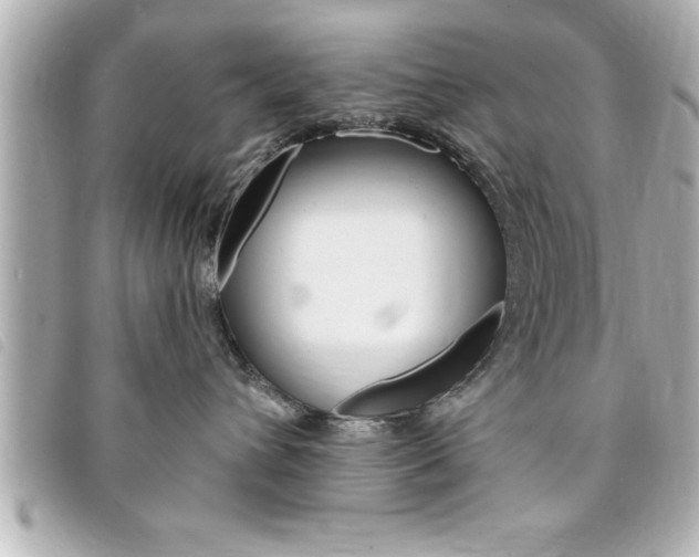 X0000094200432200710260916