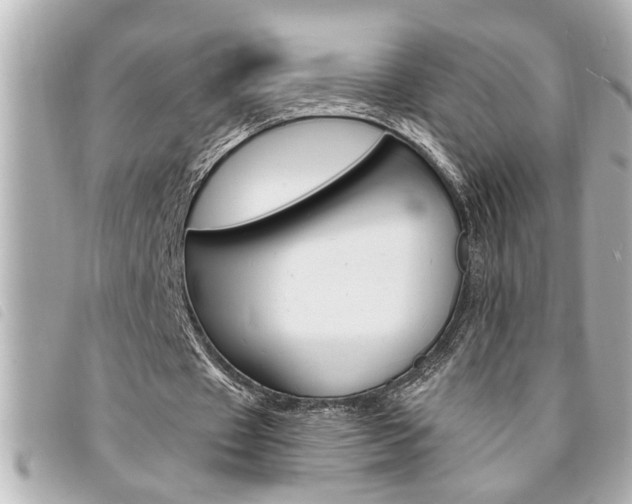 X0000094200433200710260915