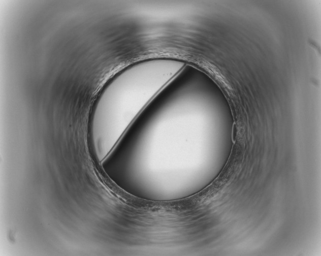 X0000094200434200710260915