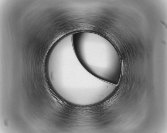 X0000094200435200710260915