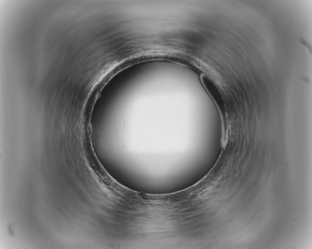X0000094200436200710260915