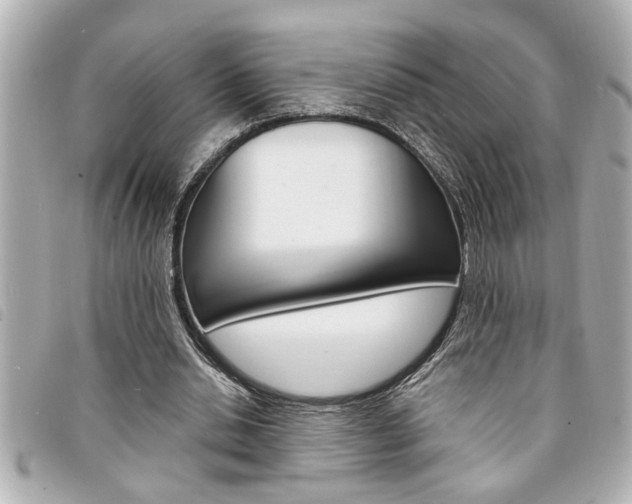 X0000094200438200710260916