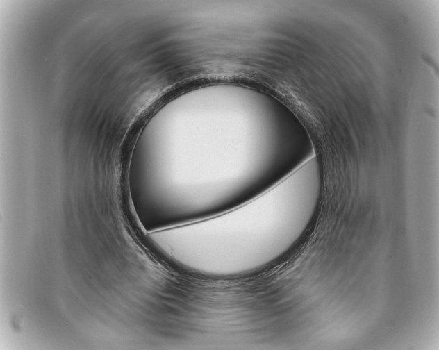 X0000094200440200710260916