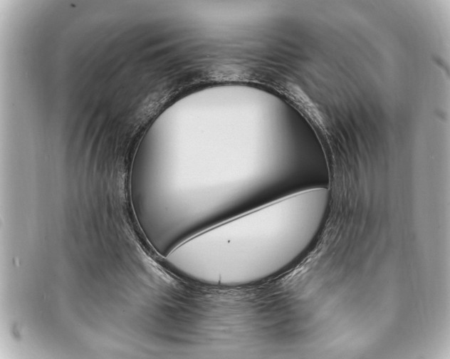 X0000094200441200710260916