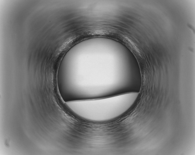 X0000094200444200710260916