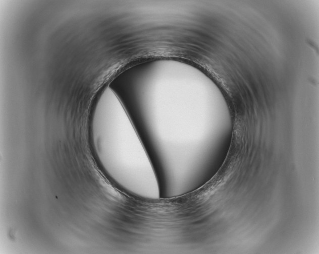 X0000094200445200710260916