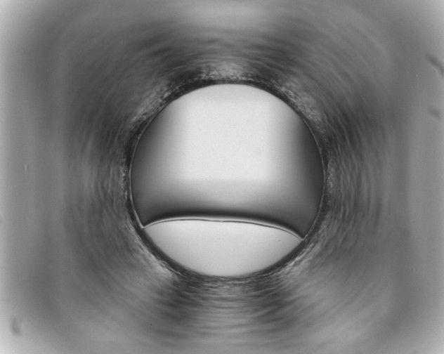 X0000094200449200710260916