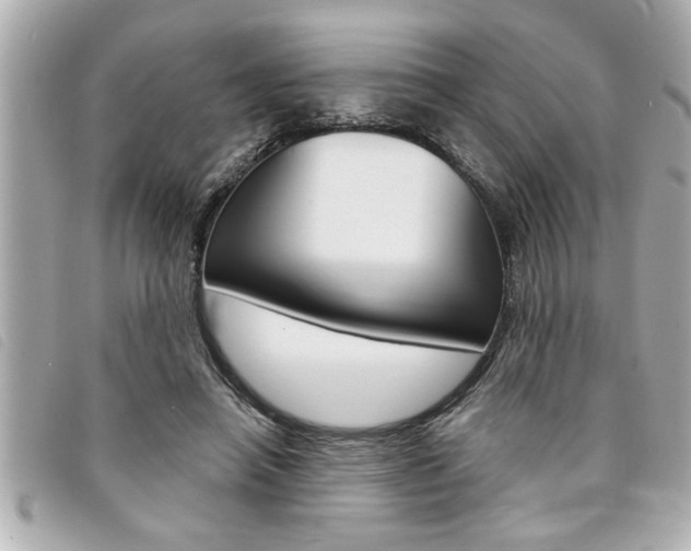 X0000094200450200710260916
