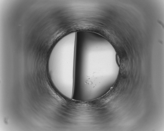 X0000094200454200710260916