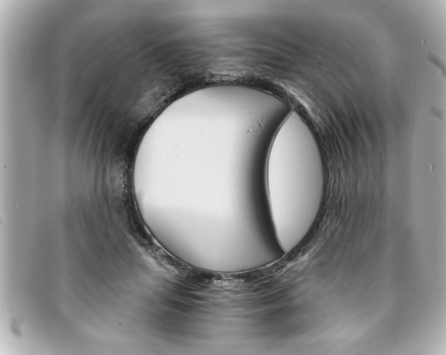 X0000094200455200710260916
