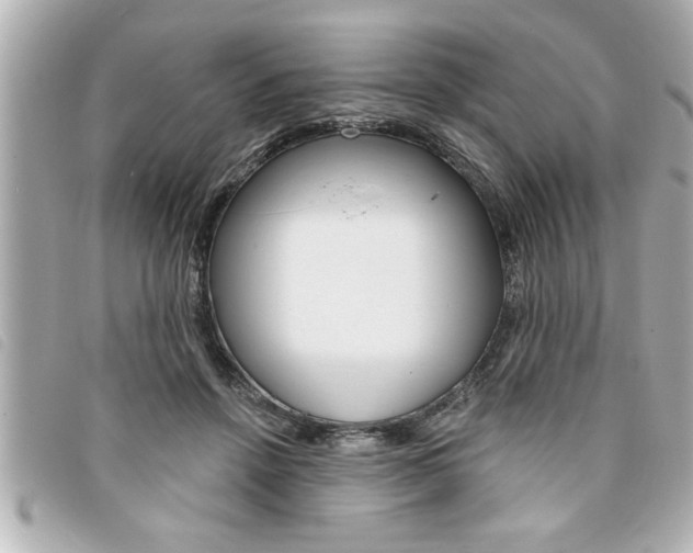 X0000094200456200710260916