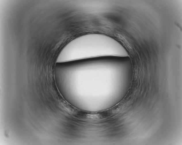 X0000094200457200710260916
