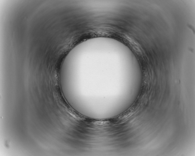 X0000094200465200710260916