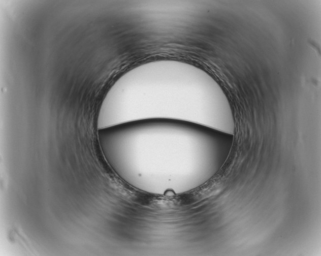 X0000094200466200710260916