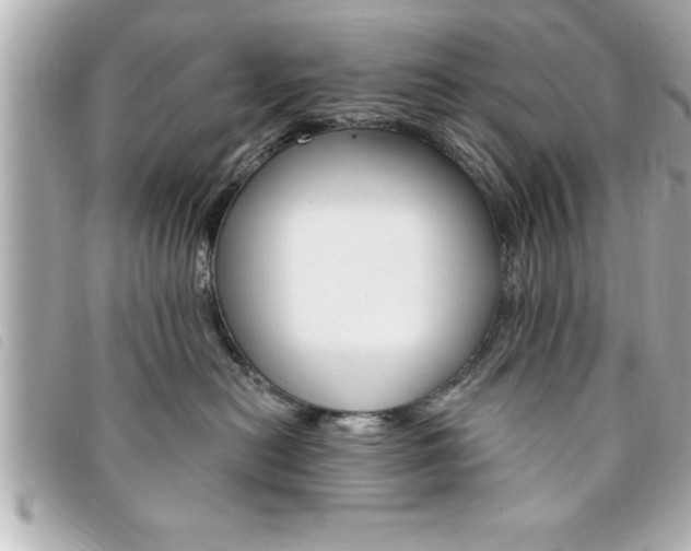 X0000094200478200710260916