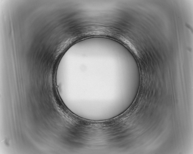 X0000094200482200710260915