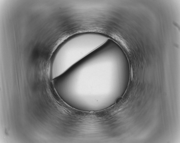 X0000094200483200710260915