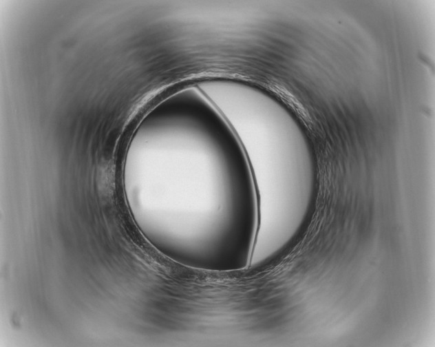 X0000094200484200710260915