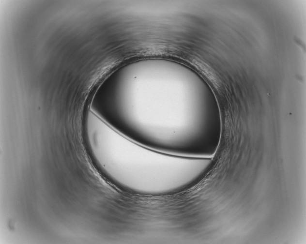 X0000094200485200710260915