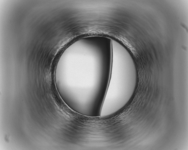 X0000094200488200710260915