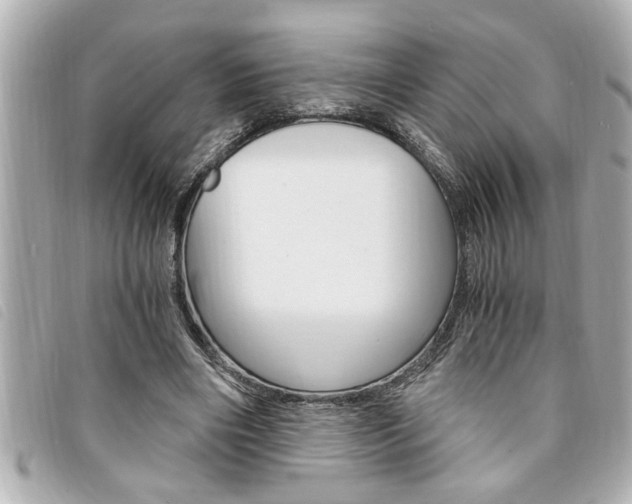 X0000094200490200710260915