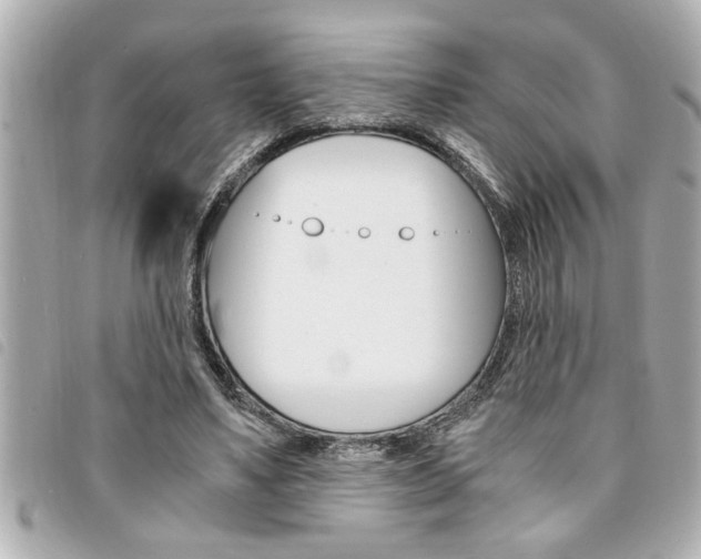 X0000094200491200710260915