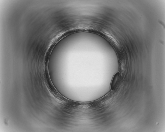 X0000094200492200710260915
