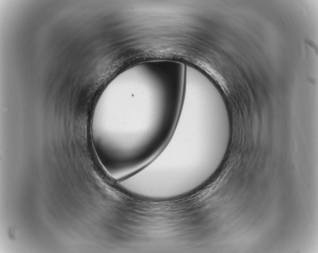 X0000094200493200710260915