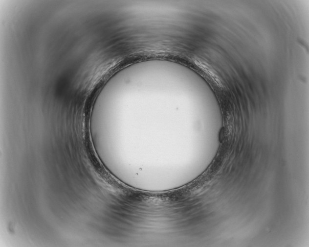 X0000094200494200710260915