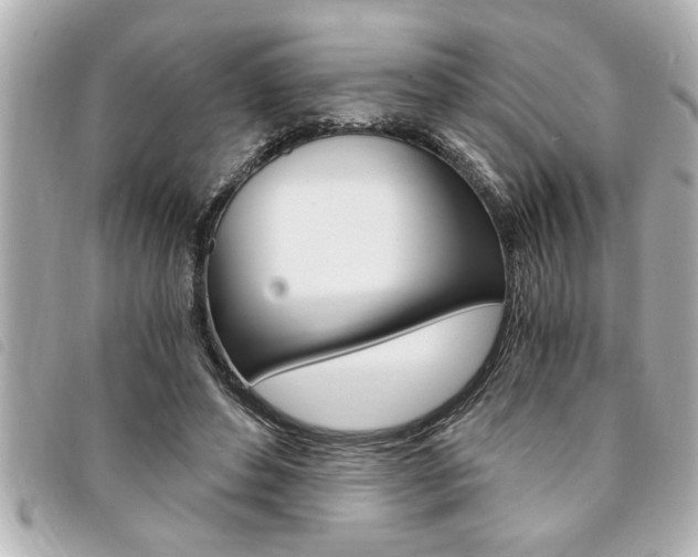 X0000094200496200710260915