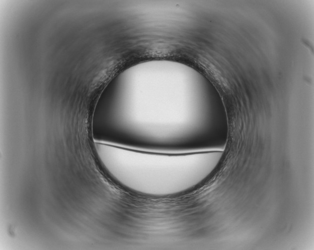X0000094200497200710260915