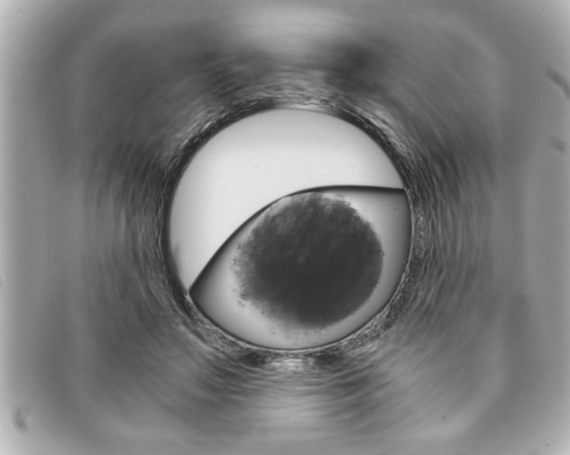 X0000094200499200710260915