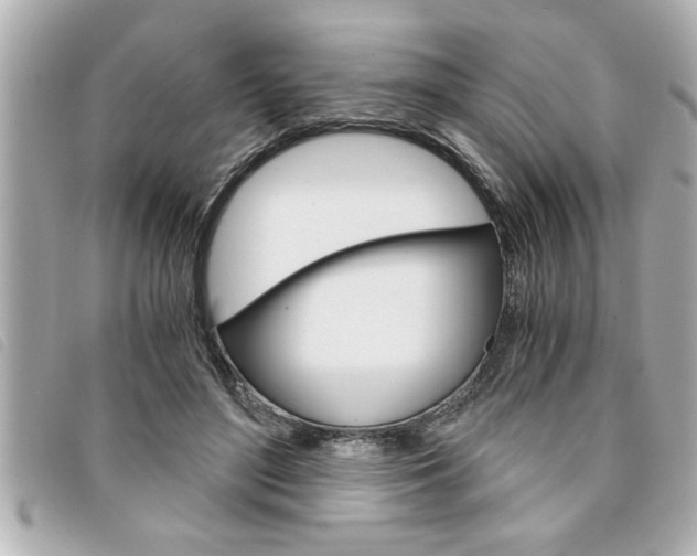 X0000094200500200710260915
