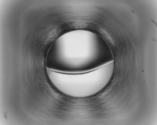 X0000094200501200710260915