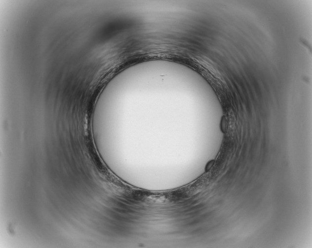 X0000094200502200710260915