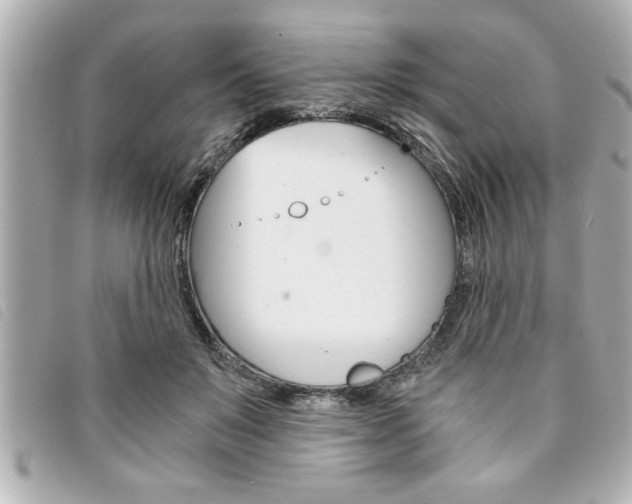 X0000094200503200710260915