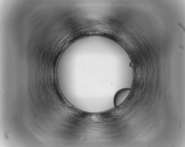X0000094200506200710260915