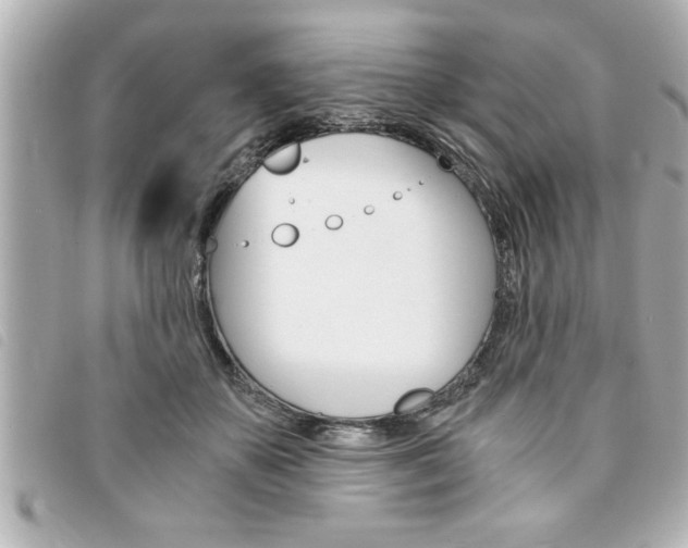 X0000094200507200710260915