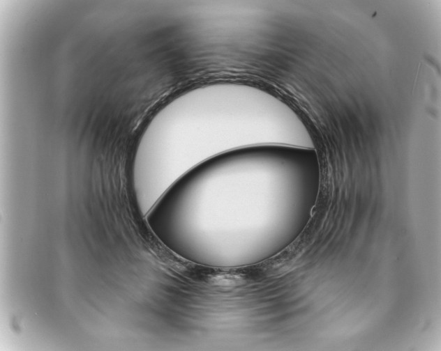X0000094200508200710260915