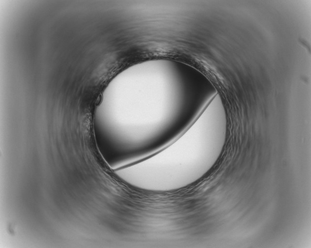 X0000094200509200710260915