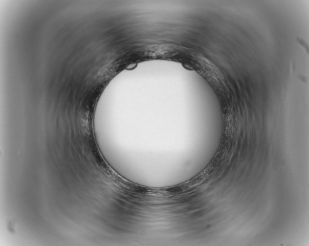 X0000094200510200710260915