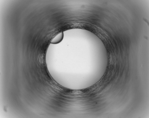 X0000094200514200710260915