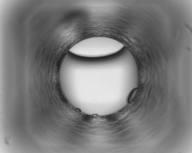 X0000094200515200710260915