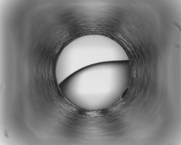 X0000094200516200710260915