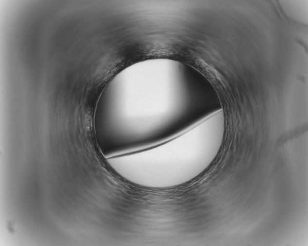 X0000094200517200710260915
