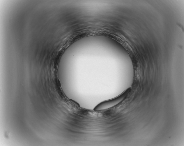 X0000094200520200710260915