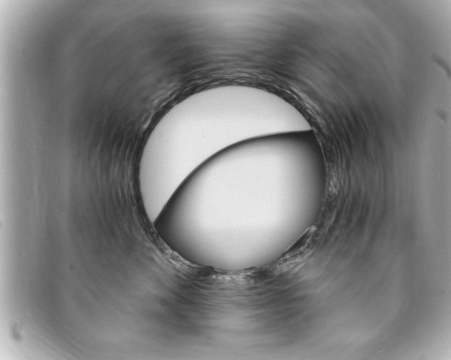 X0000094200524200710260915