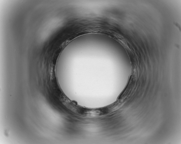 X0000094200525200710260915