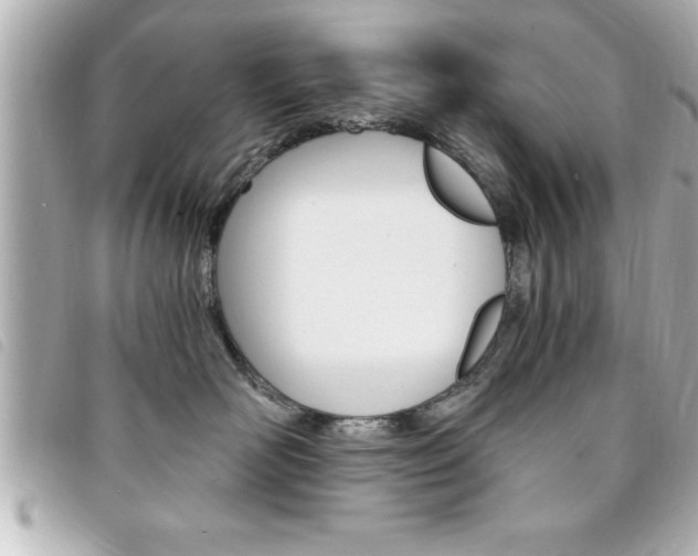 X0000094200526200710260915