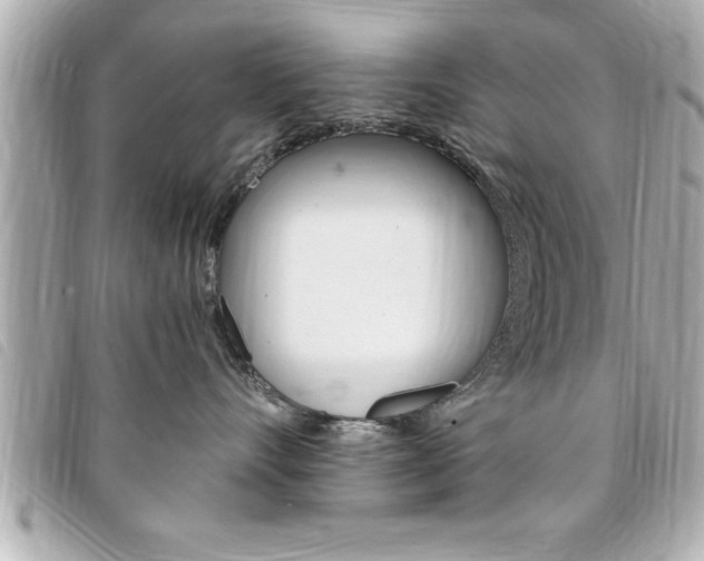X0000094200528200710260915